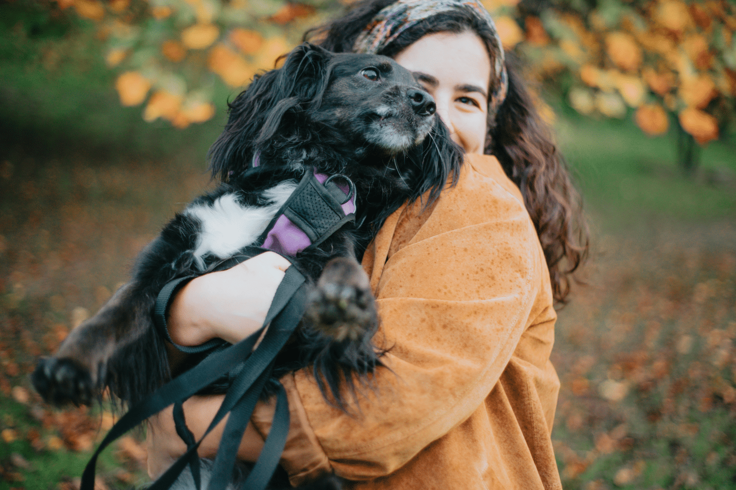 Canine Diseases & Medical Tips for Owners on Managing Them