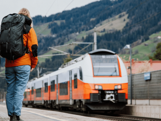 Sustainability Efforts in New York: Green Initiatives and Projects Making a Difference