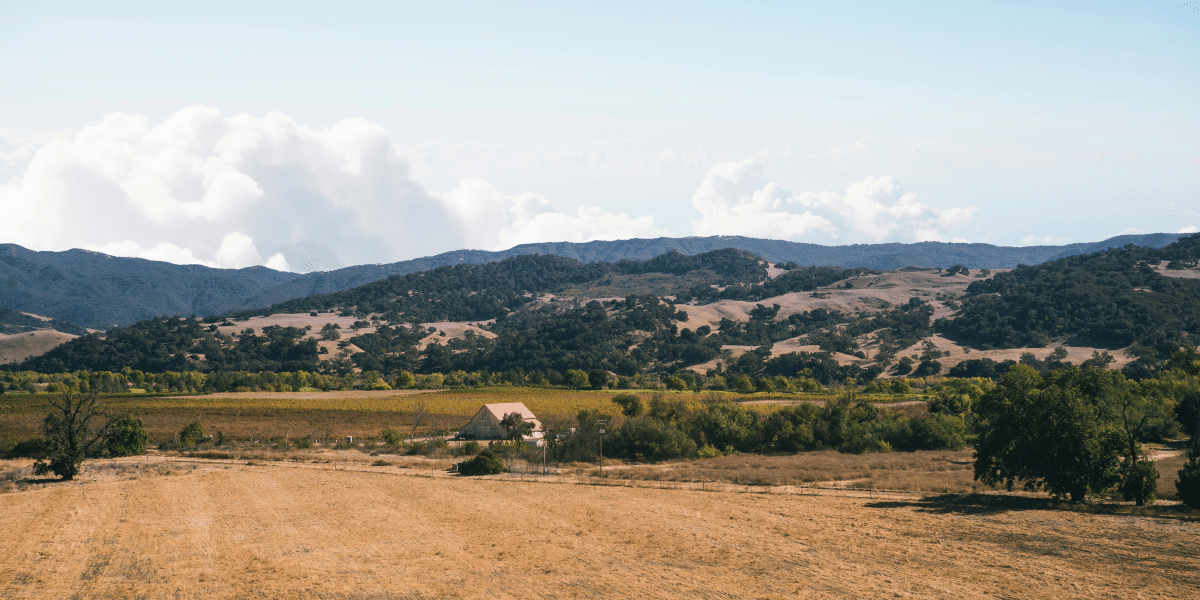 What to Expect When Going on a Napa Valley Wine Tour