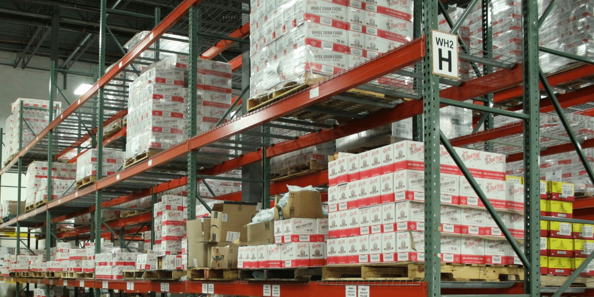 Your Guide to Warehouse and Storage Solutions Explained