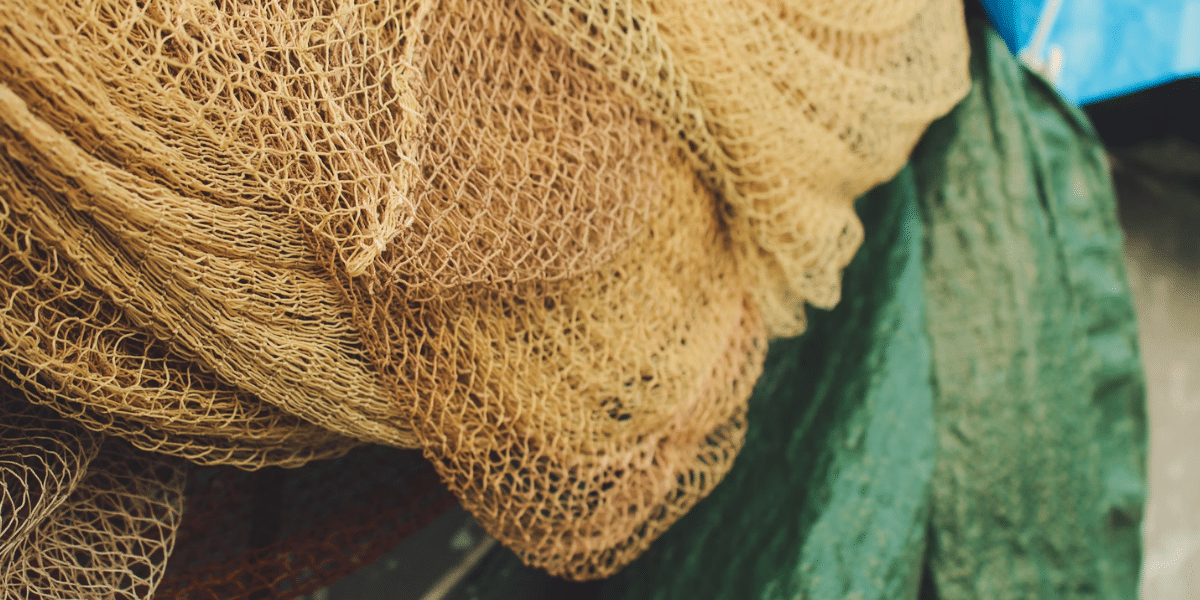 How to Pick Out the Right Fishing Net Before You Go Out Again