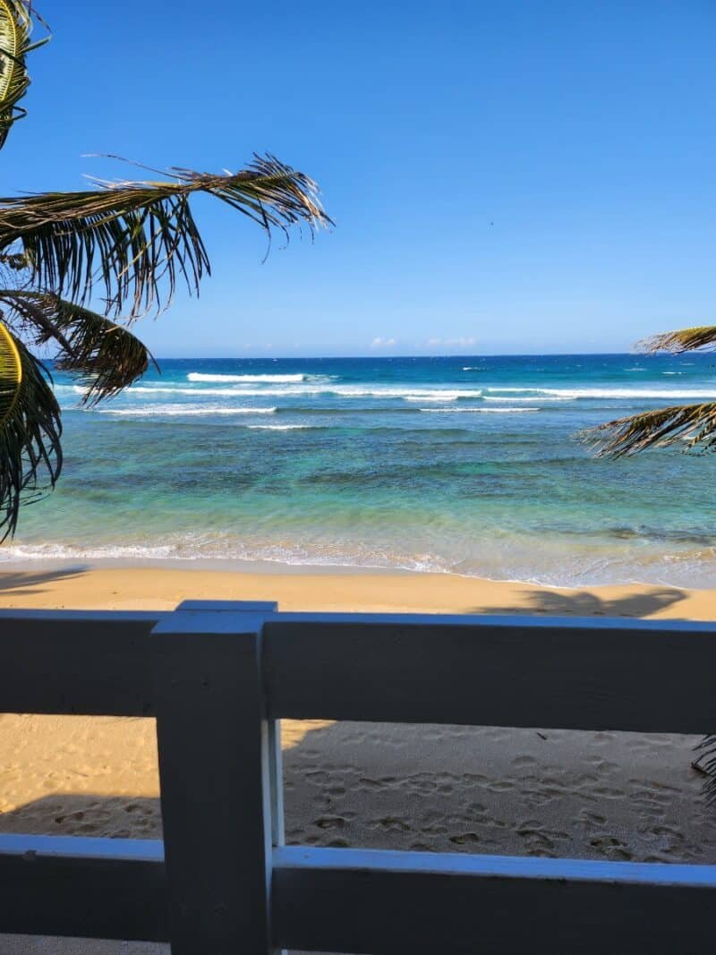 Experience the Holidays at JJ Cigar Lounge: Puerto Rican Bliss