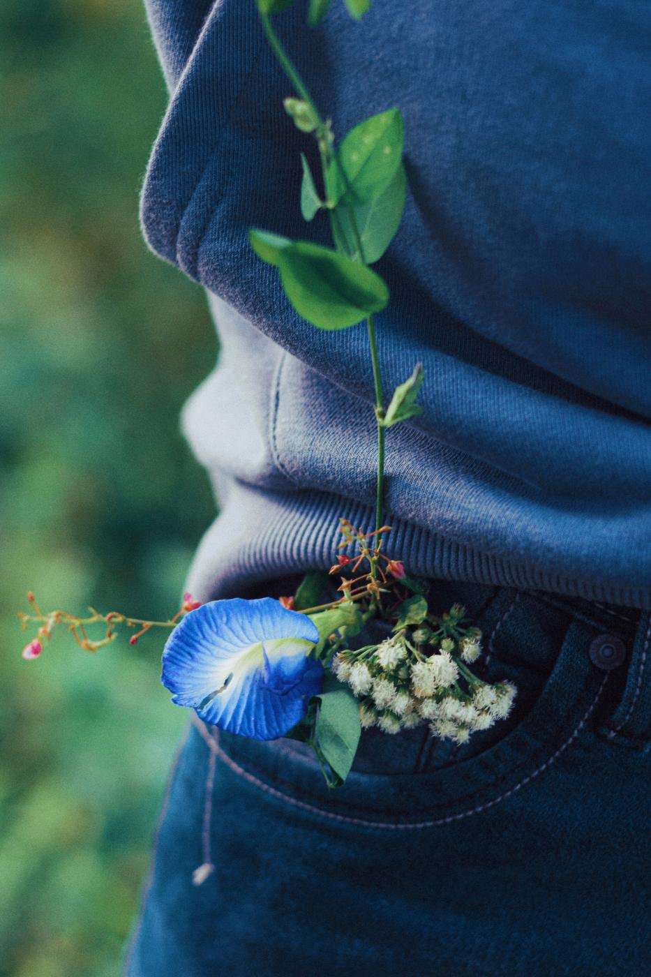 greenery in denim pocket