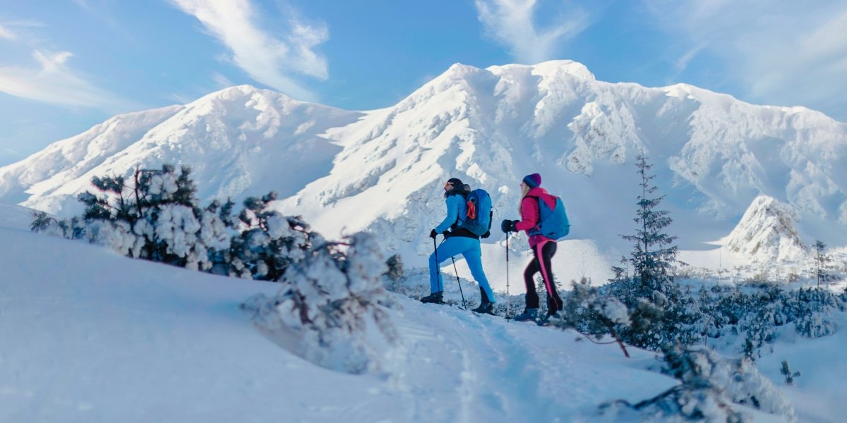 Green Travel Guide for an Alpine Winter Journey