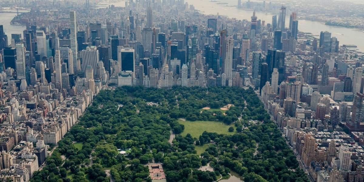 Sustainability Efforts in New York: Green Initiatives and Projects Making a Difference