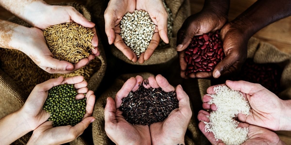 Unlocking Flavor: Why Biodiversity is Essential for Global Cuisine