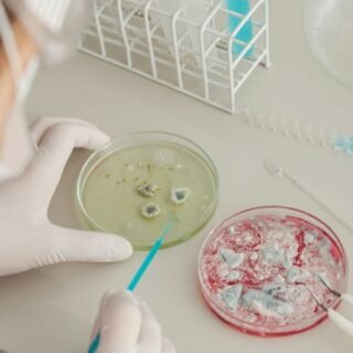 SIRE Life Sciences and its Expanding Role in Food and Nutrition Consultancy Across Europe