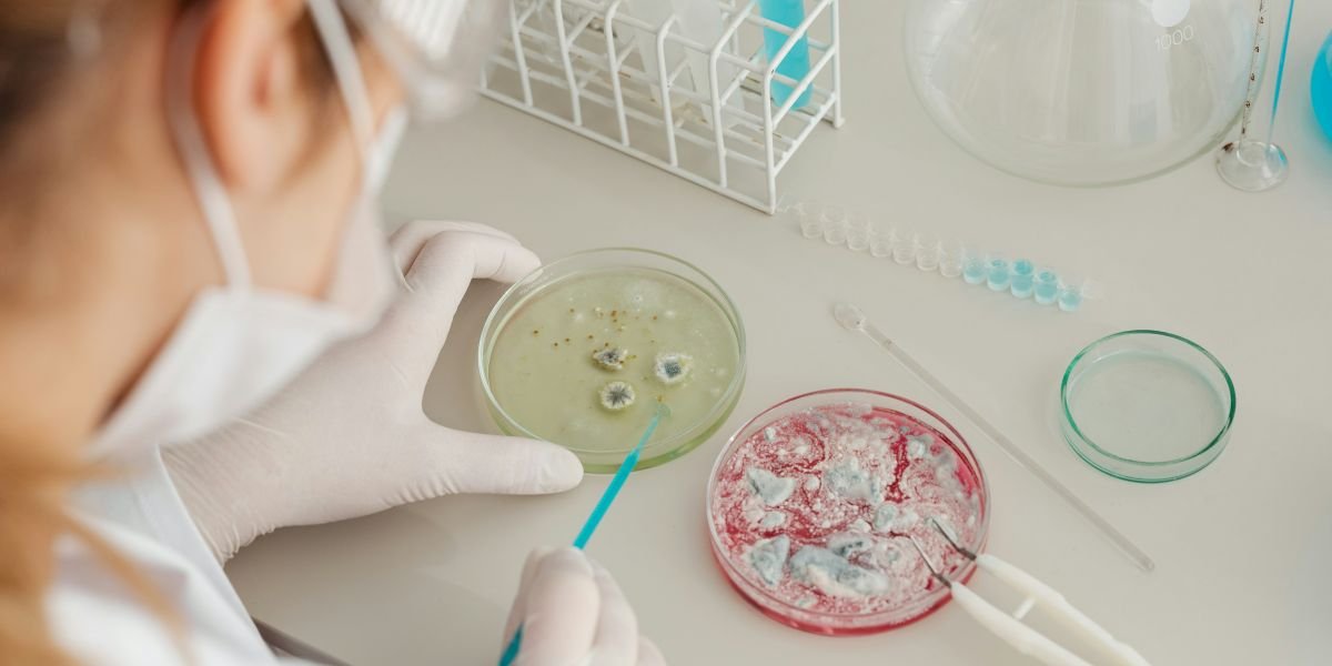 SIRE Life Sciences and its Expanding Role in Food and Nutrition Consultancy Across Europe