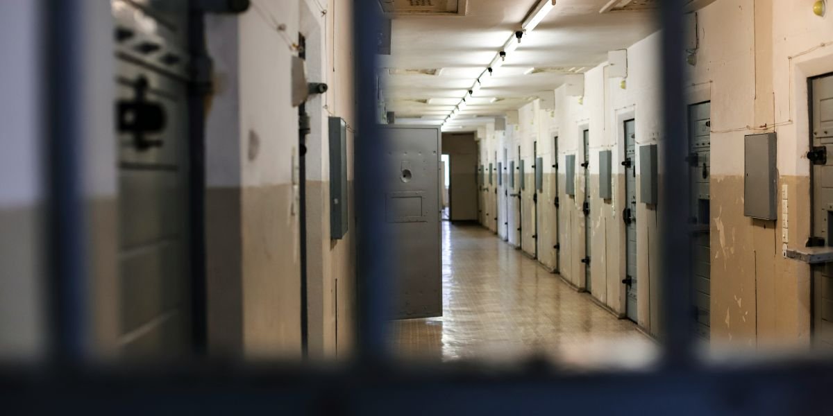 Adrien Brody and Tessa Thompson Make Broadway Debuts in The Fear of 13 — The True Story Behind the Play