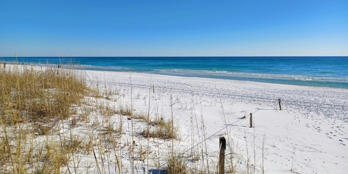 A Local's Guide to Historic Downtown Fernandina Beach: What to See, Eat, and Do on Centre Street