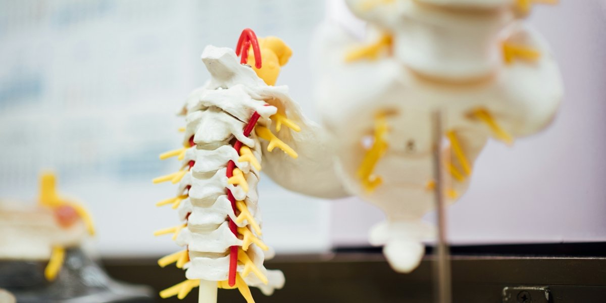Degenerative Disc Disease Is Not a Life Sentence, but the Window for Effective Non-Surgical Care Closes Over Time