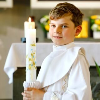 Professional Recognition and Institutional Trust in Catholic Education Through the Honors and Public Roles of Michael J. Deegan